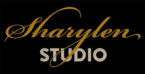 MSStudio Logo